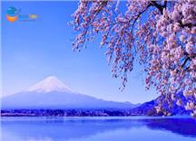 Tour Nhật Bản Khám Phá Shinhotaka Ropeway Mùa Hoa Anh Đào